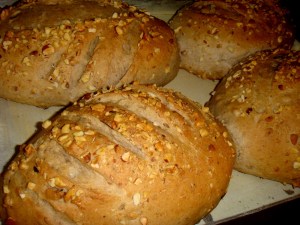 2 encontro pastoral da juventude